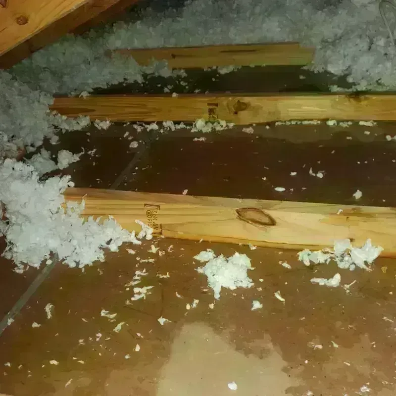 Attic Water Damage in Oswego County, NY