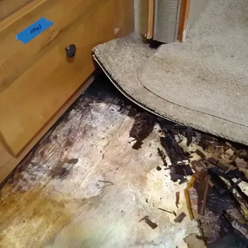 Best Wood Floor Water Damage Service in Oswego County, NY